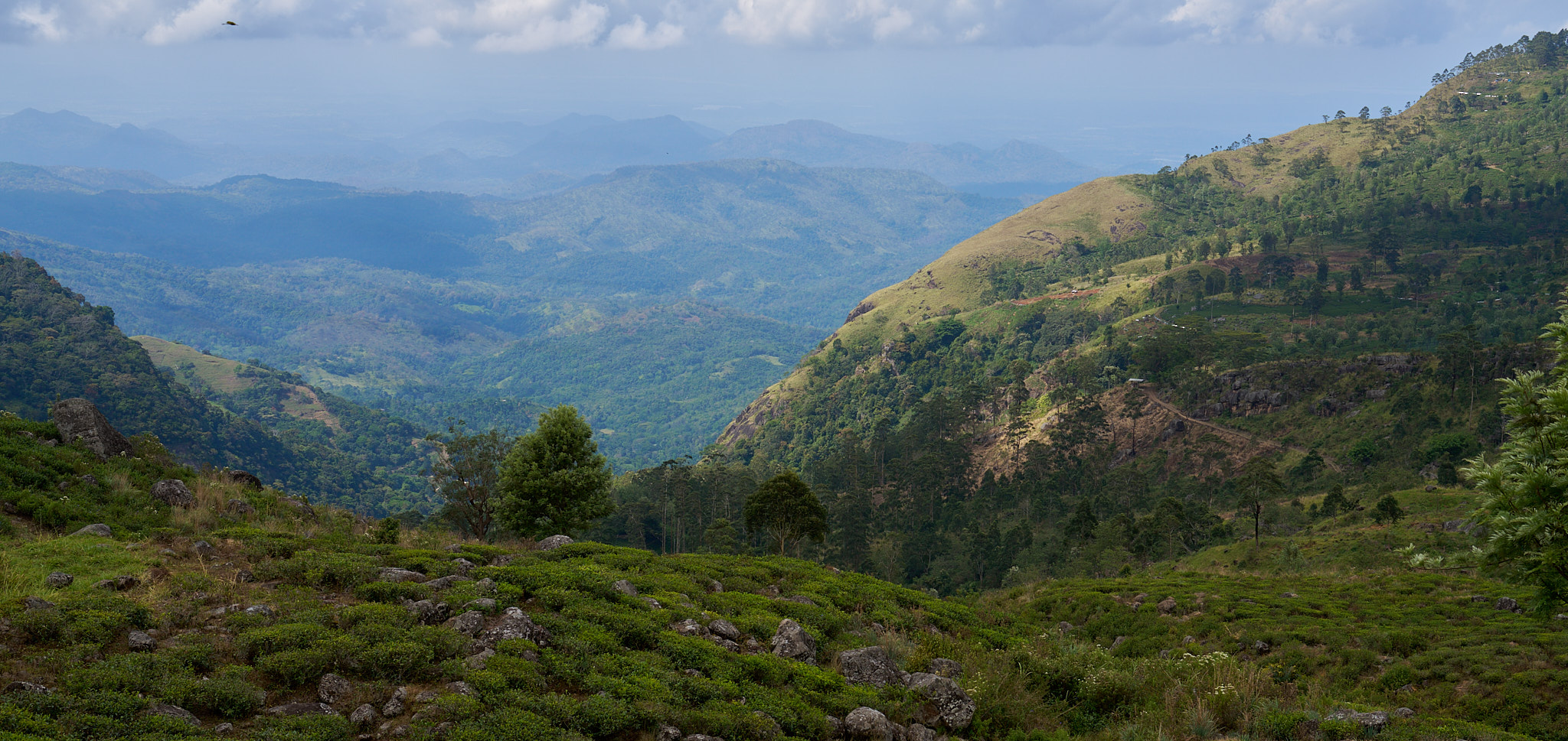 Mermaid Medical Group® Achieves Zero Non-Conformities in ISO 14001 Environmental Audit