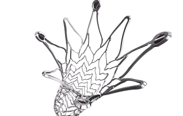 iVolution Pro Stent System