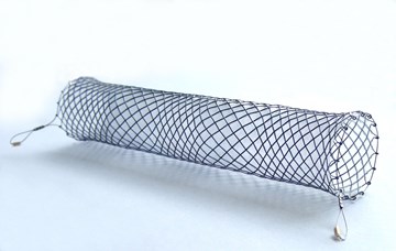 GI and Pulmonary Stents