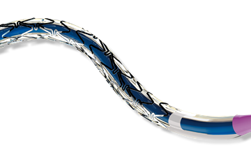 Restorer Stent System